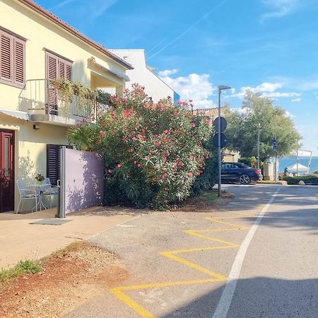 Room Fiore Novigrad Istria المظهر الخارجي الصورة