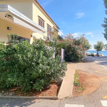 Room Fiore Novigrad Istria المظهر الخارجي الصورة